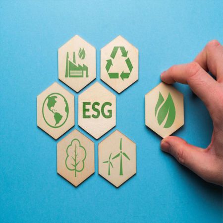 Qualificação em Gestão ESG e Qualidade